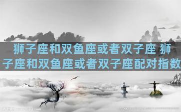 狮子座和双鱼座或者双子座 狮子座和双鱼座或者双子座配对指数